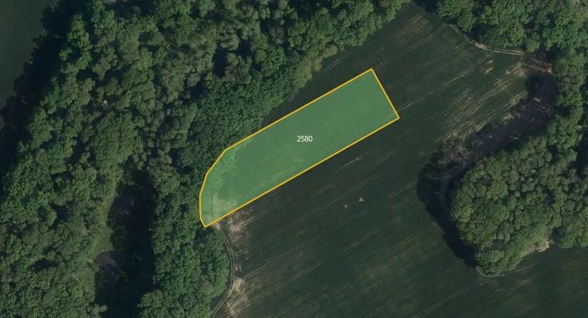 Prodej pole, Ronov nad Doubravou, 26987 m2