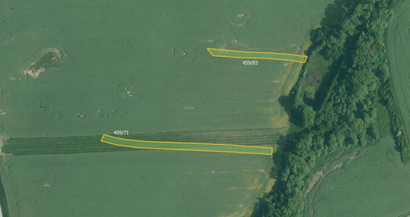 Prodej pole, Olešník, 5234 m2