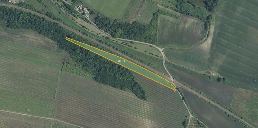 Prodej pole, Novosedly, 9816 m2