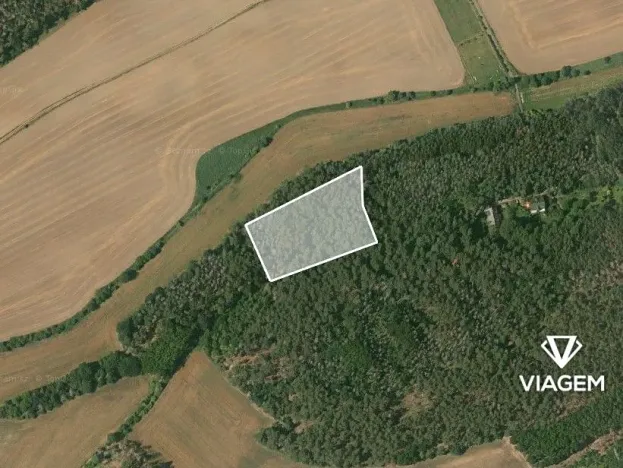 Prodej podílu lesa, Hrdlív, 2411 m2