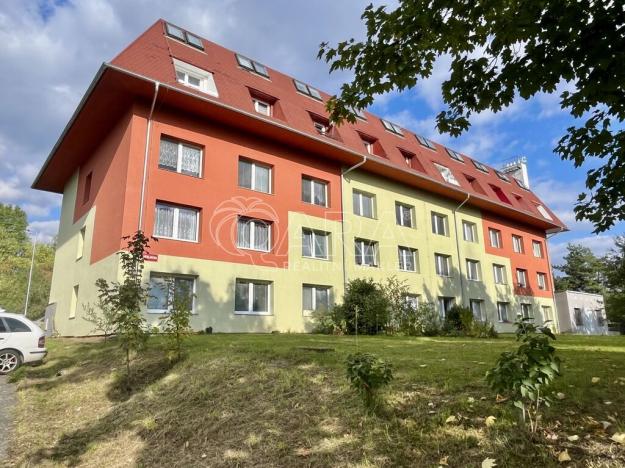 Prodej bytu 1+1, Starý Plzenec, Herejkova, 38 m2