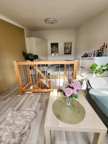 Prodej bytu 1+1, Starý Plzenec, Herejkova, 38 m2