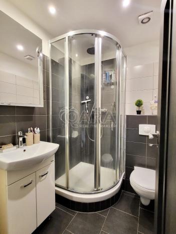 Prodej bytu 1+1, Starý Plzenec, Herejkova, 38 m2