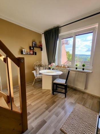 Prodej bytu 1+1, Starý Plzenec, Herejkova, 38 m2