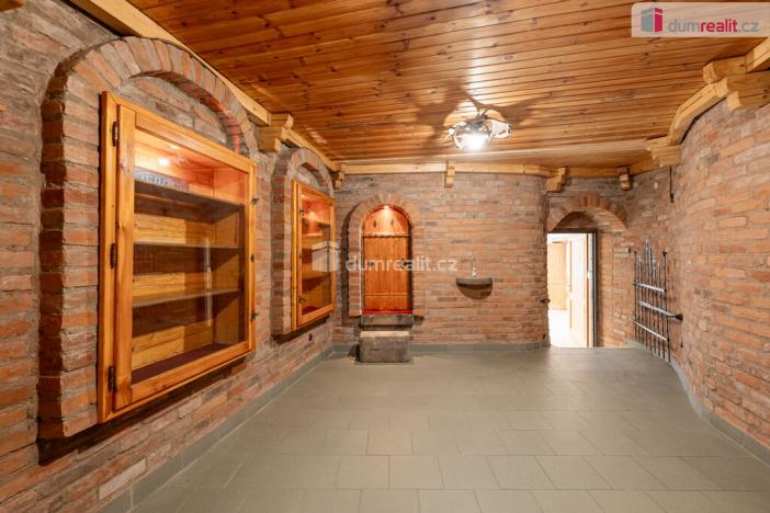 Prodej obchodního prostoru, Mladá Boleslav - Mladá Boleslav III, Viničná, 107 m2