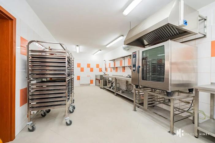 Pronájem výrobních prostor, Zlonín, Hlavní, 50 m2