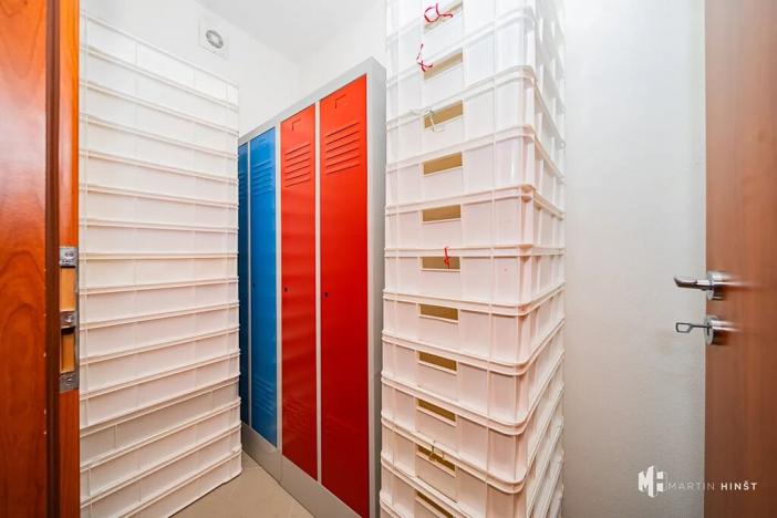 Pronájem výrobních prostor, Zlonín, Hlavní, 50 m2