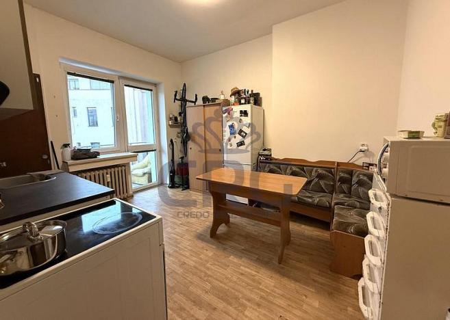 Pronájem bytu 1+1, Brno - Staré Brno, Nové sady, 48 m2