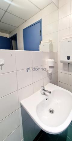 Pronájem obchodního prostoru, Praha, Krakovská, 300 m2