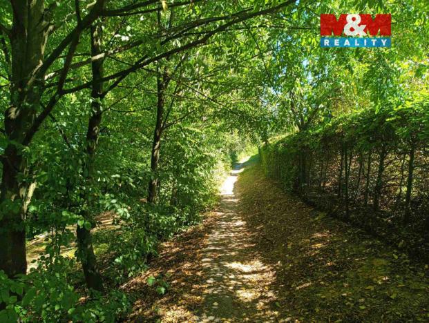 Prodej chaty, Rychnov nad Kněžnou, 25 m2