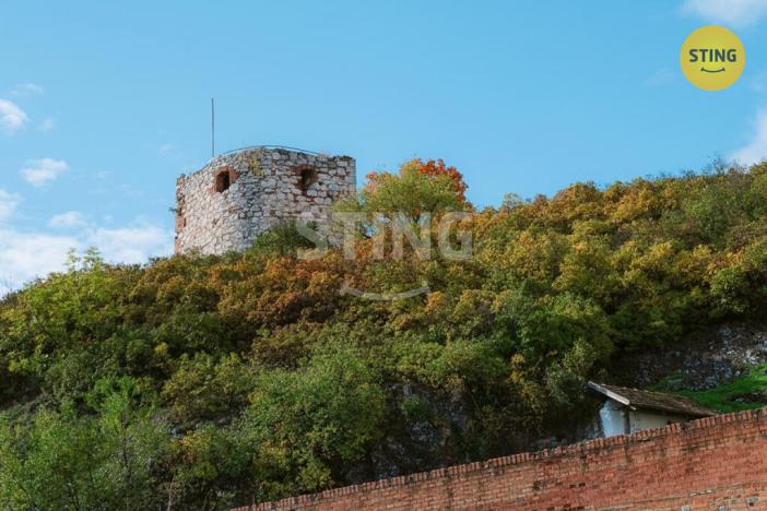Prodej historického objektu, Mikulov, Na Jámě, 361 m2
