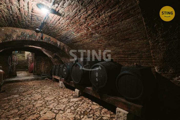 Prodej historického objektu, Mikulov, Na Jámě, 361 m2