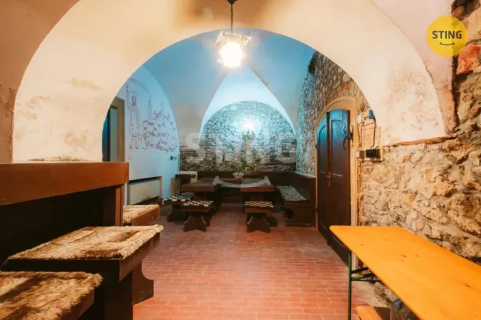 Prodej historického objektu, Mikulov, Na Jámě, 361 m2