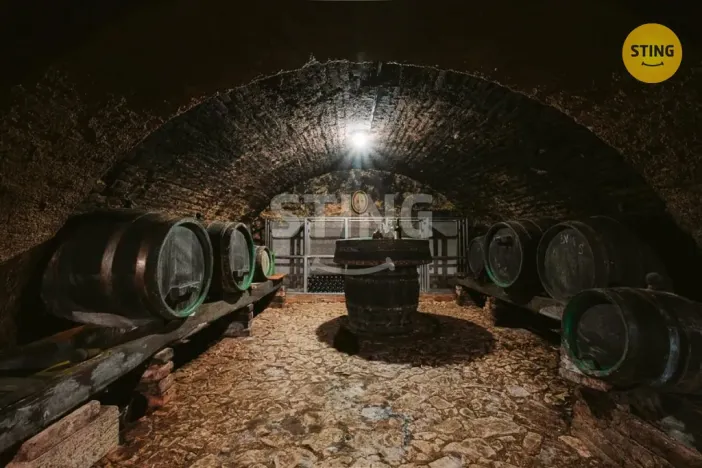 Prodej historického objektu, Mikulov, Na Jámě, 361 m2