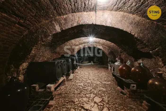 Prodej historického objektu, Mikulov, Na Jámě, 361 m2