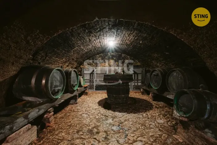 Prodej historického objektu, Mikulov, Na Jámě, 361 m2