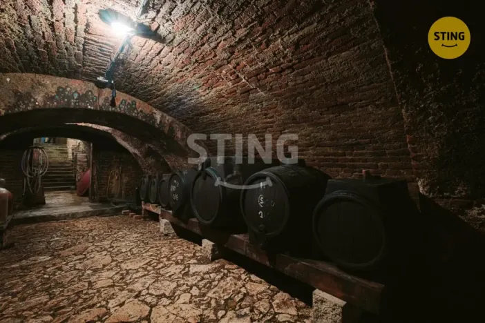 Prodej historického objektu, Mikulov, Na Jámě, 361 m2