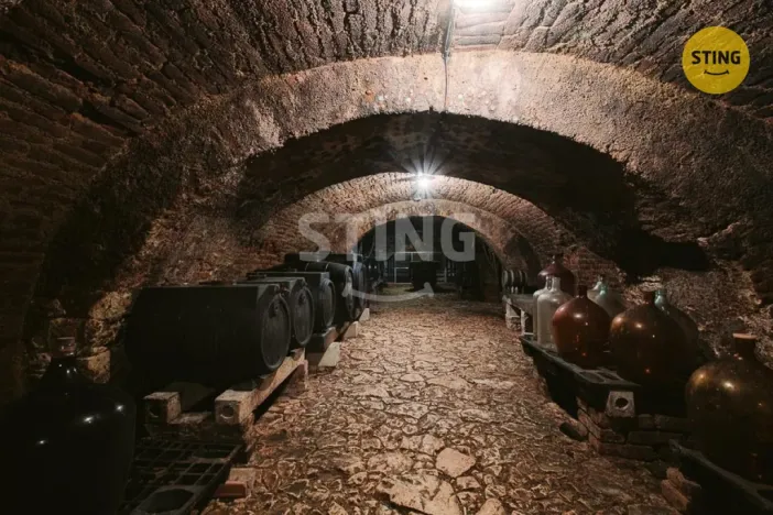 Prodej historického objektu, Mikulov, Na Jámě, 361 m2