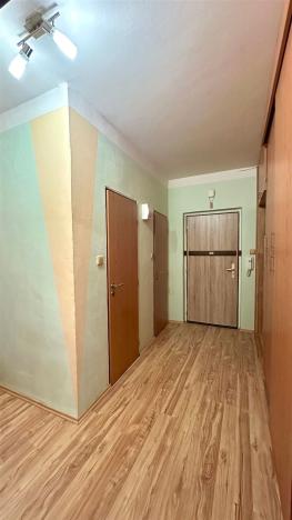 Prodej bytu 2+1, Cheb, Kosmonautů, 51 m2