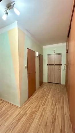 Prodej bytu 2+1, Cheb, Kosmonautů, 51 m2