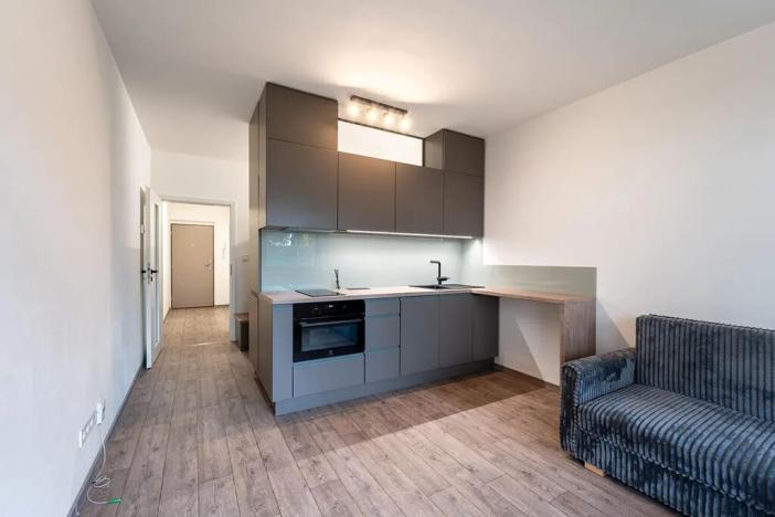 Pronájem bytu 1+kk, Olomouc, Frištenského, 32 m2