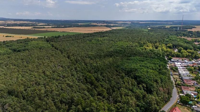 Prodej pozemku pro bydlení, Mělník, Chloumecká, 2624 m2