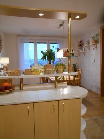 Prodej bytu 3+1, Opočno, Podzámčí, 88 m2