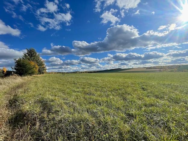 Prodej chalupy, Vinaře, 88 m2