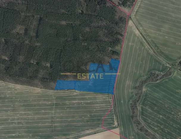 Prodej pole, Všehrdy, 65232 m2