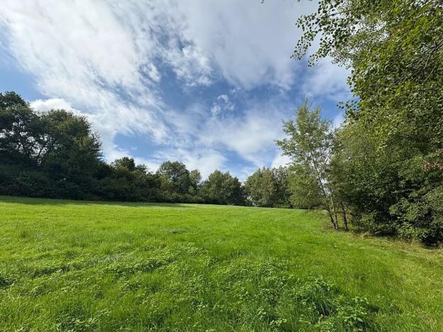 Prodej rodinného domu, Bujanov, 480 m2