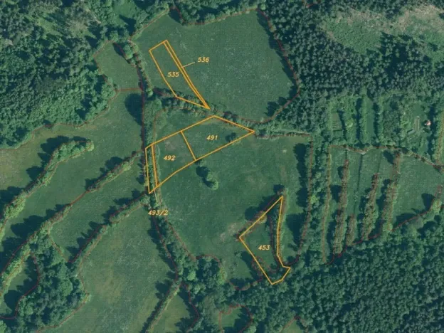 Dražba pole, Strašín, 33898 m2