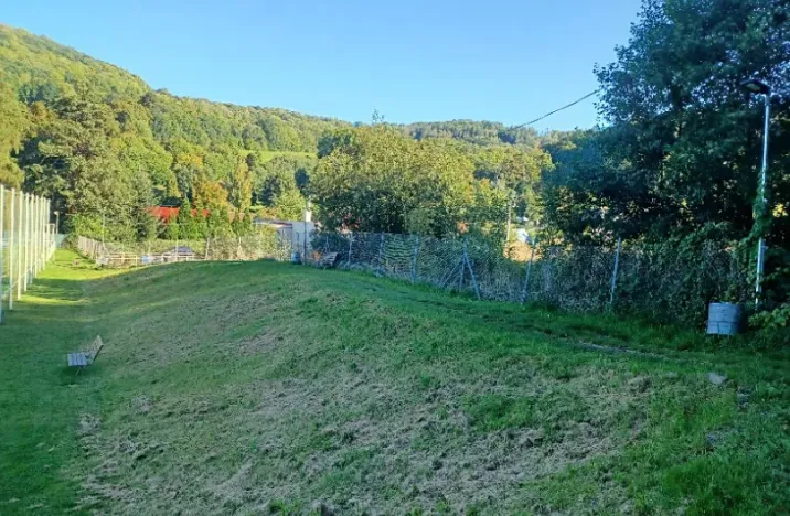 Dražba pozemku, Heřmanov, 8127 m2