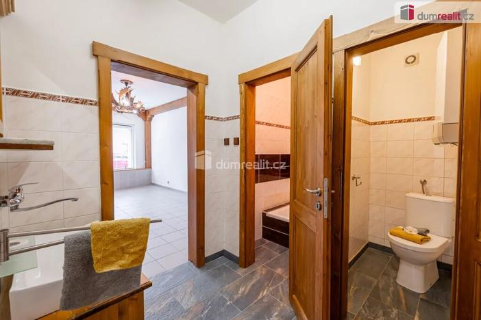 Prodej obchodního prostoru, Mladá Boleslav, Viničná, 107 m2