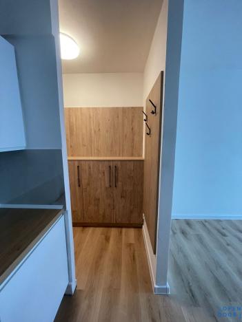 Pronájem bytu 2+kk, Bílina, Litoměřická, 41 m2