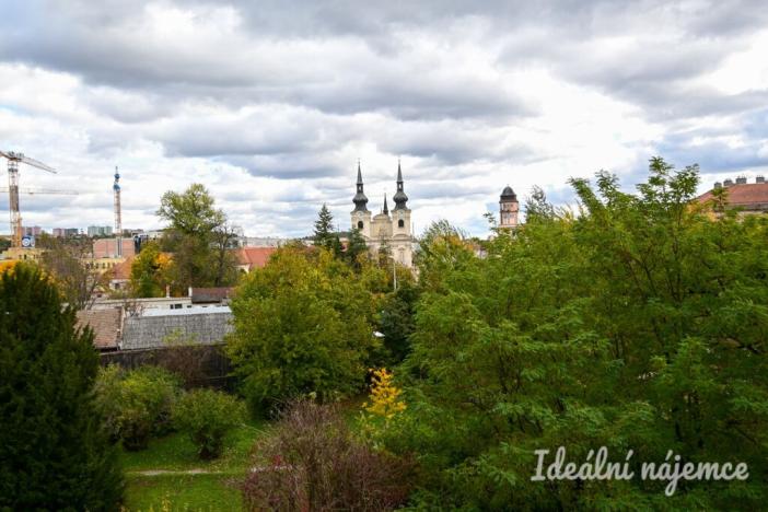 Pronájem bytu 1+kk, Brno, Auerswaldova, 29 m2