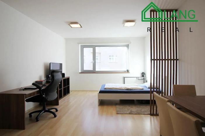 Pronájem bytu 1+kk, Brno, Hybešova, 37 m2