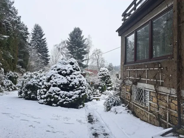 Prodej rodinného domu, Nové Strašecí, Nádražní, 350 m2