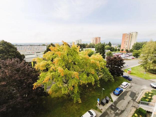 Prodej bytu 2+1, Česká Lípa, Železničářská, 59 m2