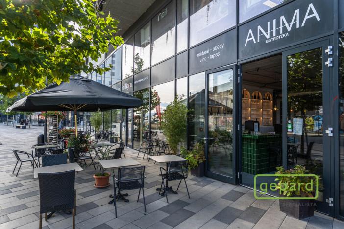 Pronájem bytu 2+kk, Praha - Modřany, Mezi vodami, 52 m2