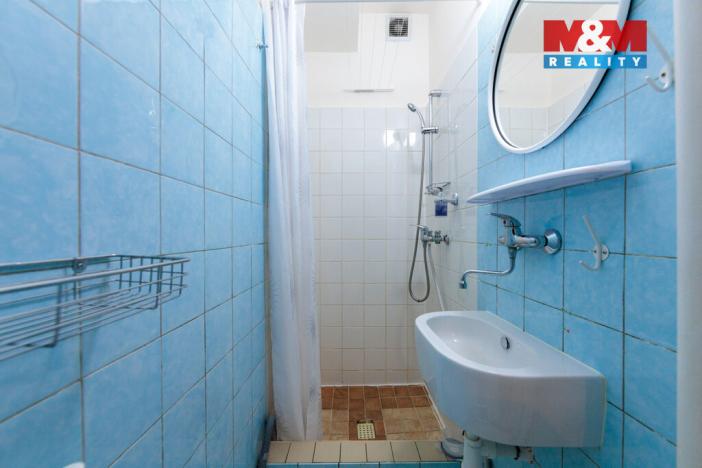 Prodej bytu 1+kk, Praha - Strašnice, Královická, 25 m2