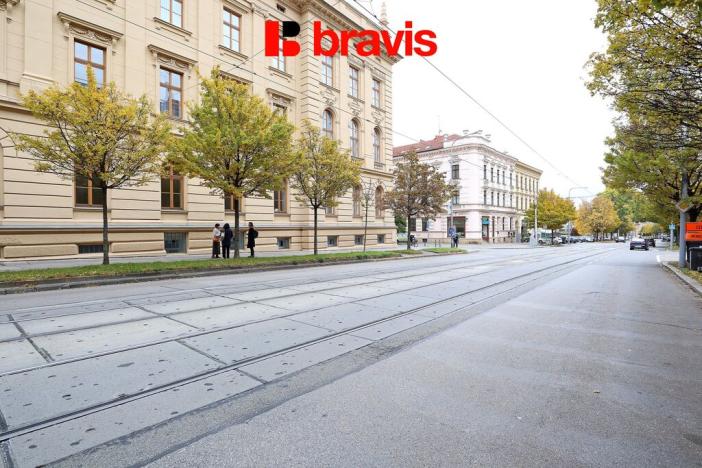 Pronájem bytu 2+1, Brno - Veveří, 80 m2