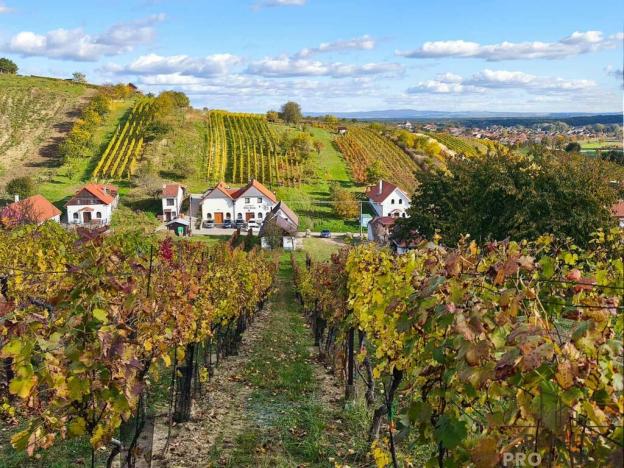 Prodej vinného sklepa, Mutěnice, 120 m2