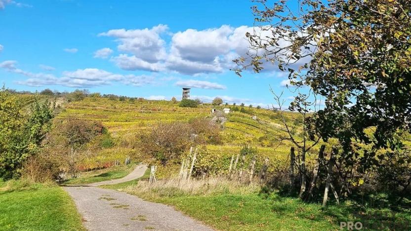 Prodej vinného sklepa, Mutěnice, 120 m2