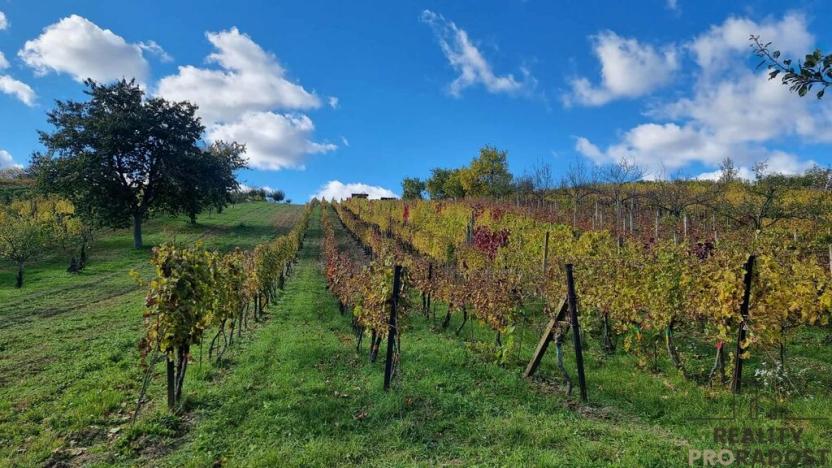 Prodej vinného sklepa, Mutěnice, 120 m2