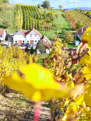 Prodej vinného sklepa, Mutěnice, 120 m2