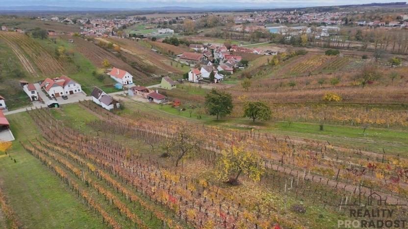 Prodej vinného sklepa, Mutěnice, 120 m2