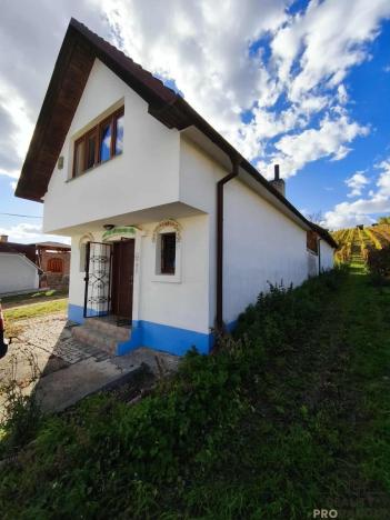 Prodej vinného sklepa, Mutěnice, 120 m2