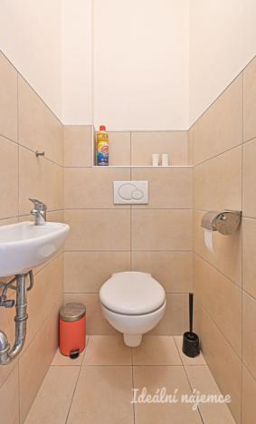 Pronájem bytu 2+kk, Brno - Staré Brno, Úvoz, 67 m2