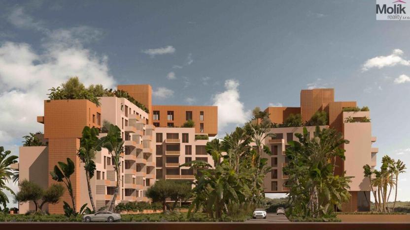 Prodej bytu 2+kk, Golem, 84 m2