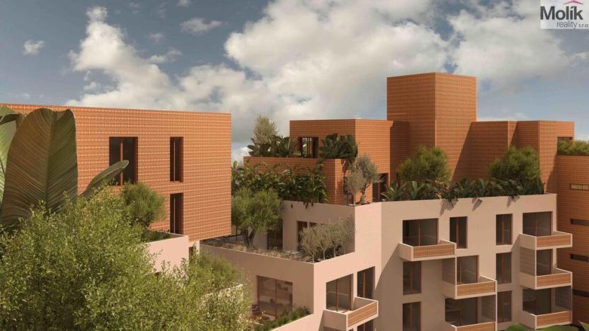 Prodej bytu 2+kk, Golem, 84 m2